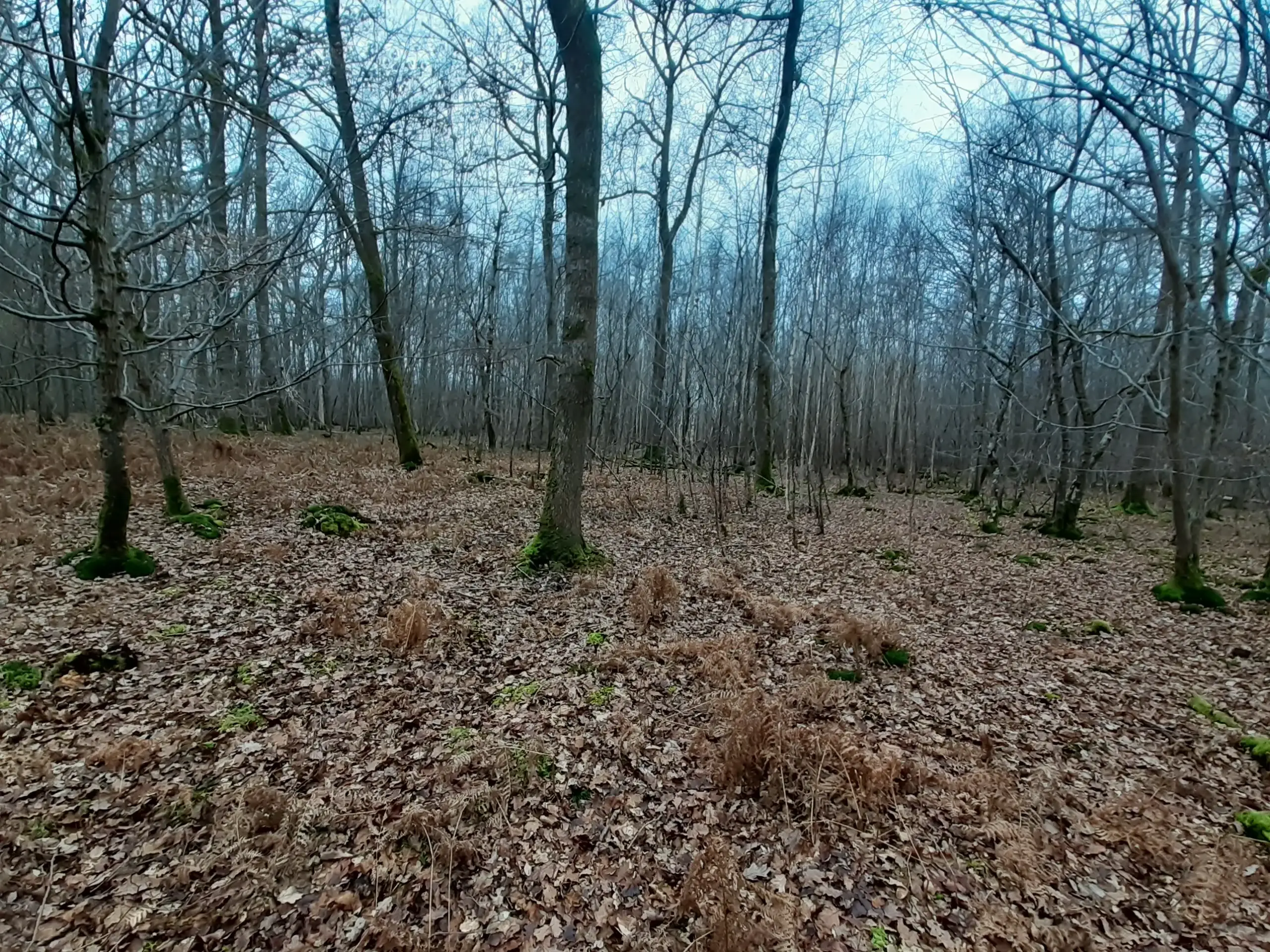La Grippe, Blacourt (Oise)