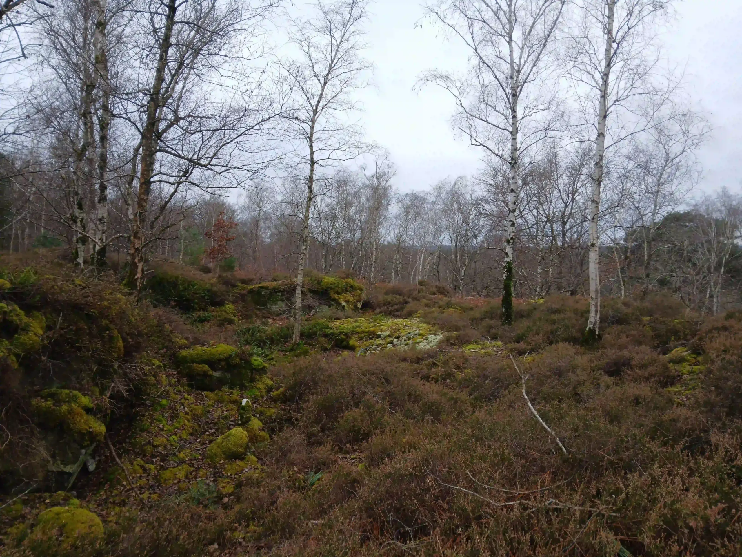 La Pierre l'Ermite, Baron (Oise)