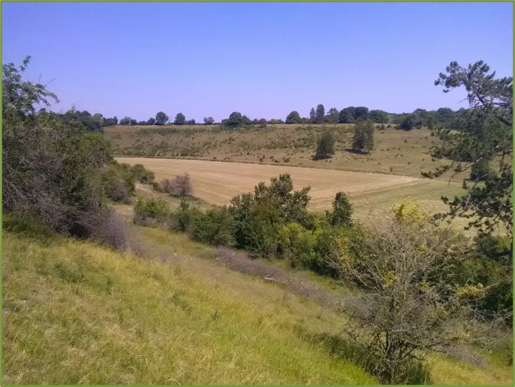 La Vallée de Clancy, Vierzy (Aisne)