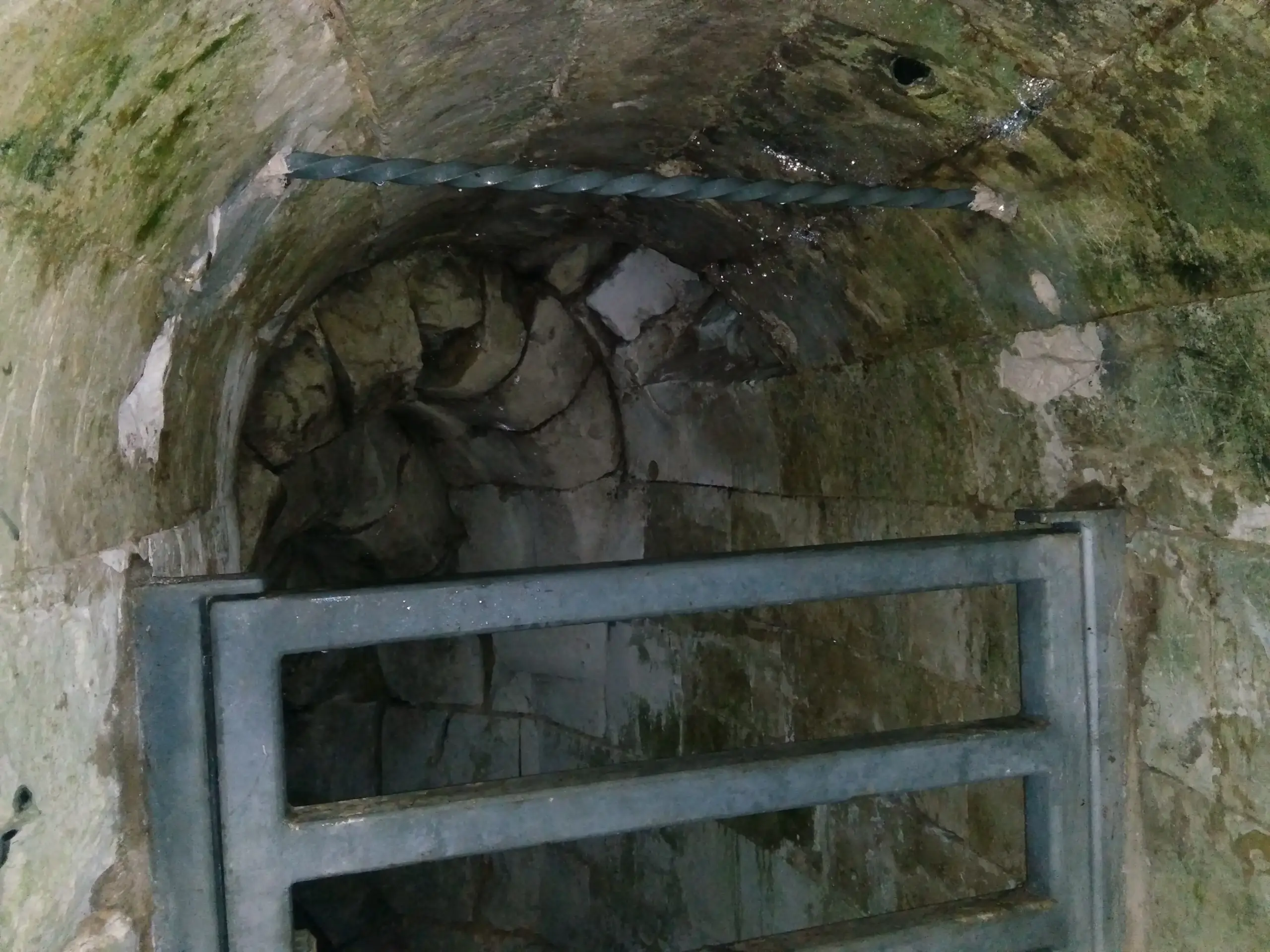 Le Bois des Arbrisseaux, Poix-de-Picardie (Somme)