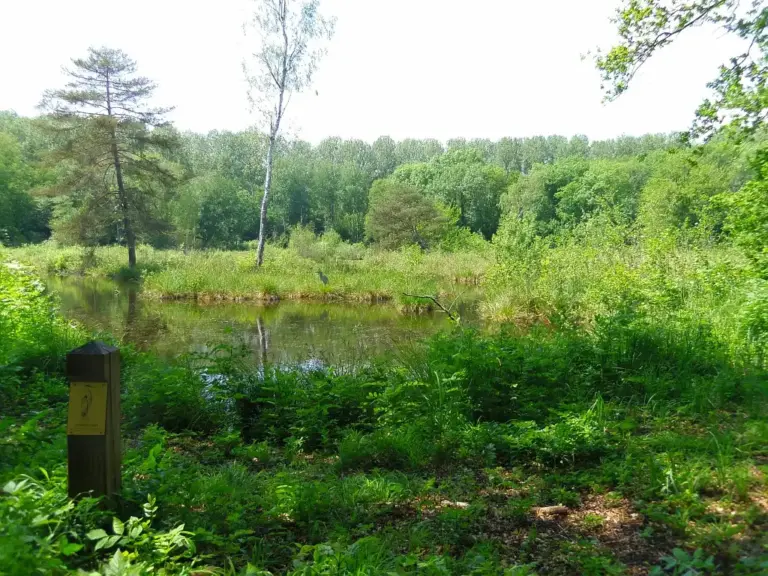 Le Marais de Bourneville, Marolles (Oise)