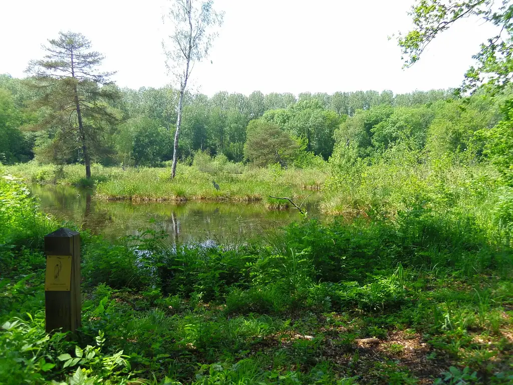 Le Marais de Bourneville, Marolles (Oise)