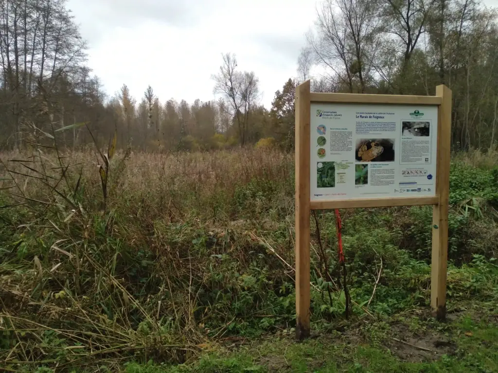 Le Marais de Feigneux (Oise)