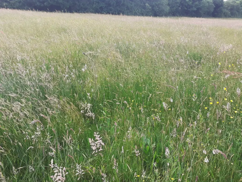 Les Pâtures de Saint-Aubin-en-Bray (Oise)