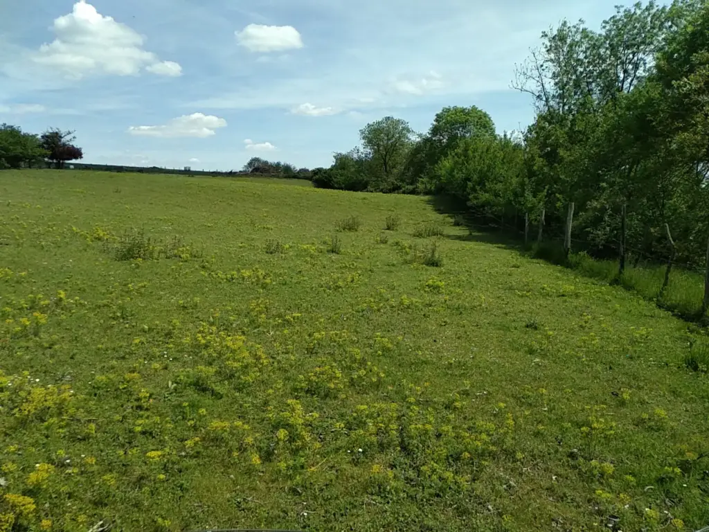 Les Pelouses du Pavillon, Acy (Aisne)