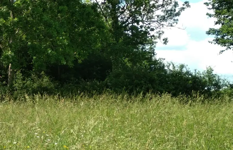 Les Prairies de Viffort (Aisne)