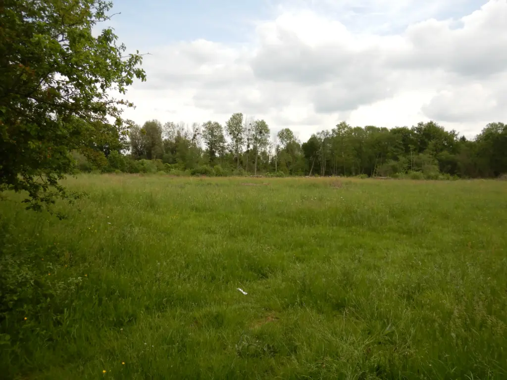 Les Prairies du Voyeu des Chanvres, Laon (Aisne)