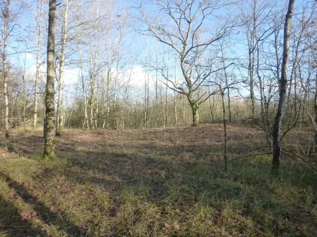 Les grèves de Concevreux (Aisne)