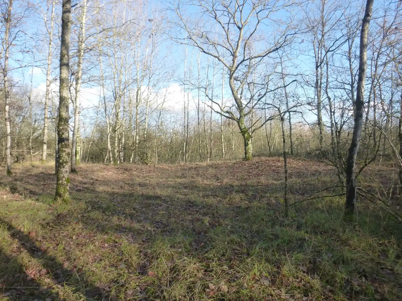 Les grèves de Concevreux (Aisne)