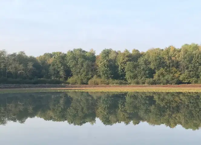 L'étang de la Verrerie, Dhuys et Morin-en-Brie (Aisne)