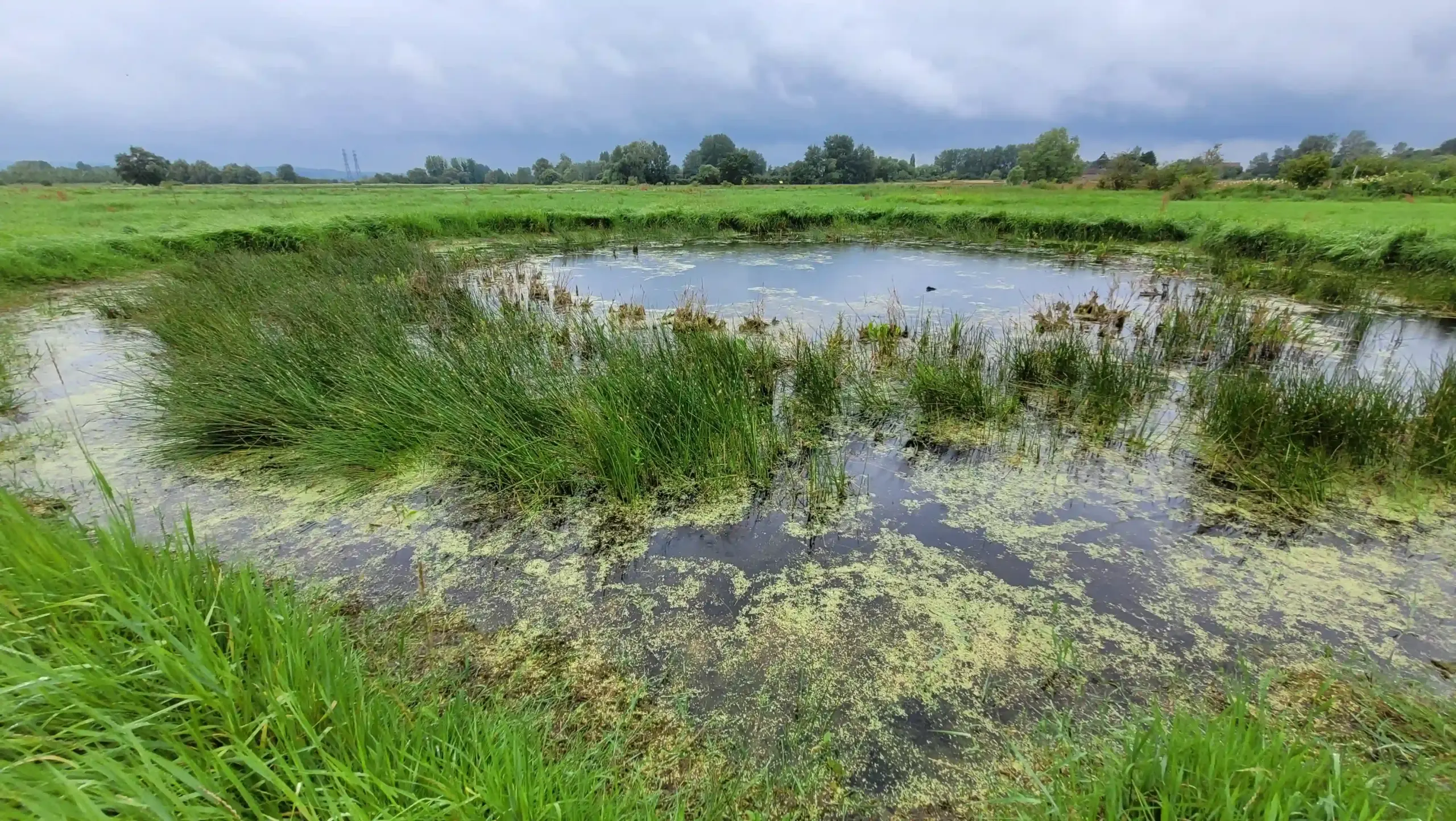 Mesures Compensatoire SNCF (Aisne)