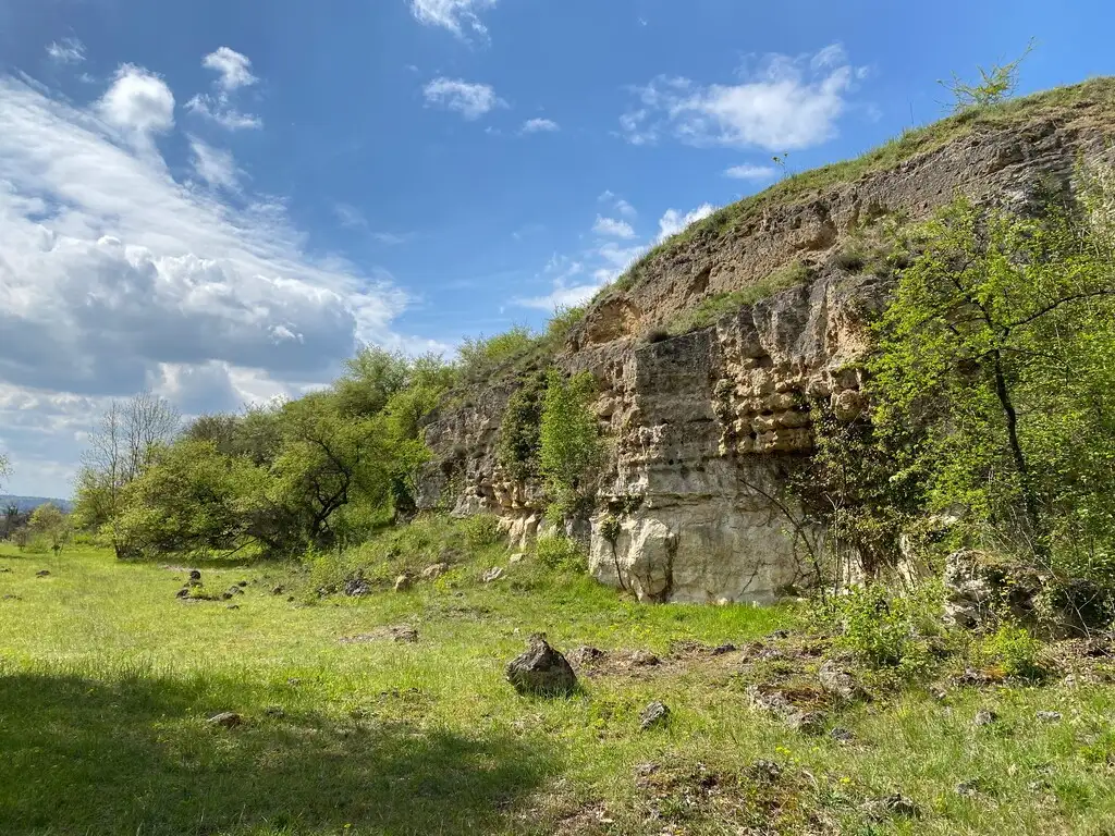 Pelouse de la Chaouïa, Oeuilly (Aisne)