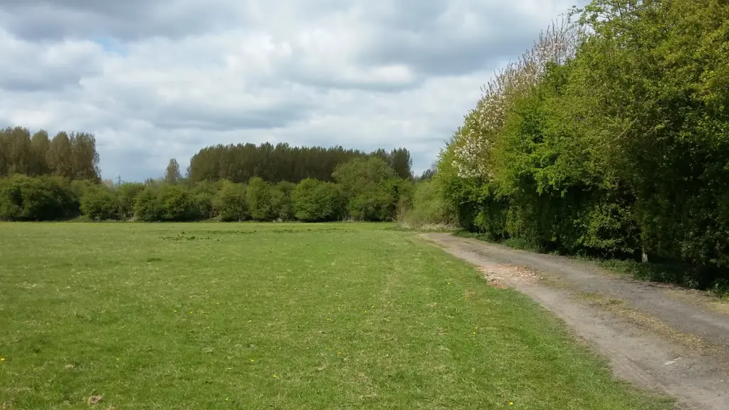 Prairies de la Neuville, Fresnes-sur-Escaut (Nord)