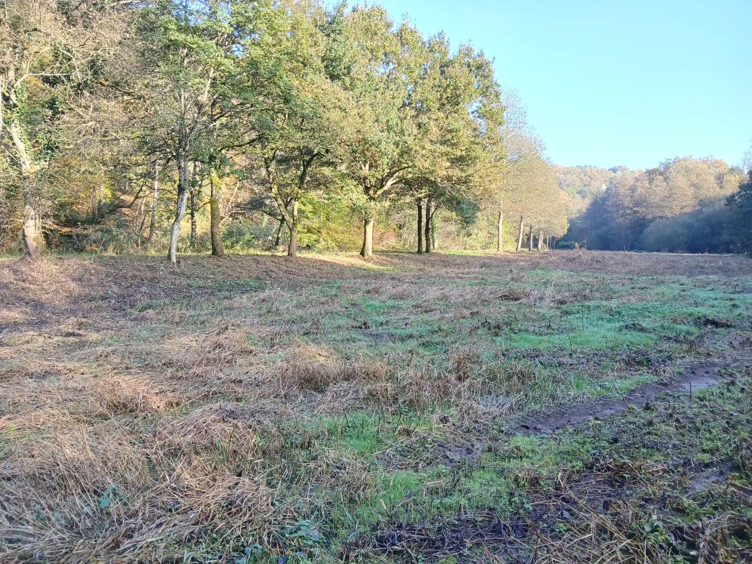 Pré Patou, Hirson-Saint-Michel (Aisne)