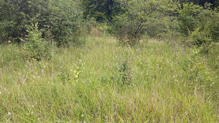 Fort de Laniscourt à Mons-en-Laonnois © T. Gerard