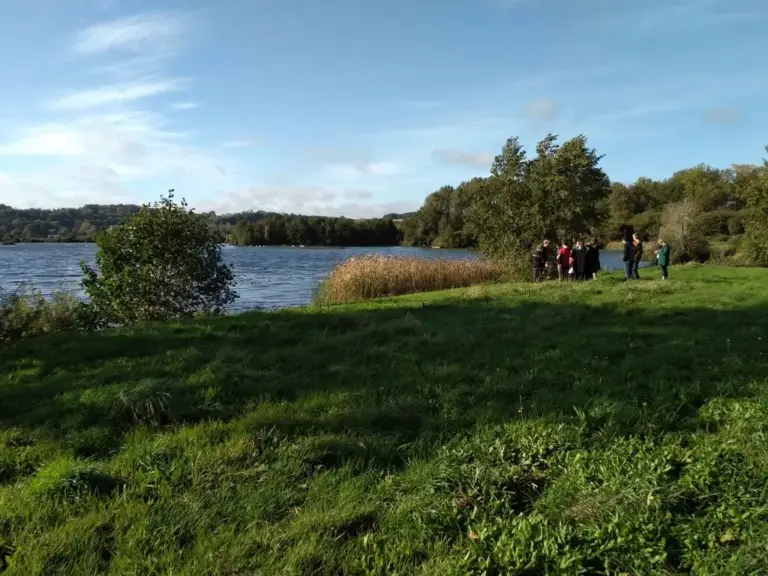 Sortie nature - Le Marais des Communes, Long (Somme)
