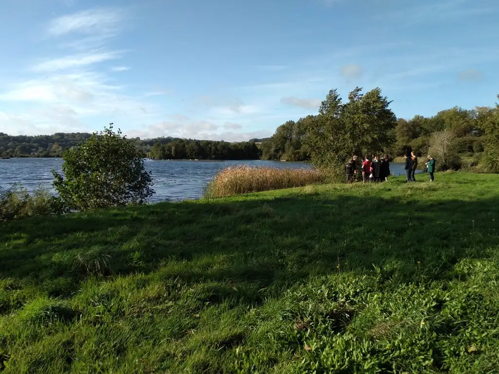 Sortie nature - Le Marais des Communes, Long (Somme)