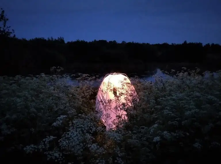 Suivi hétérocères tente - papillons de nuit