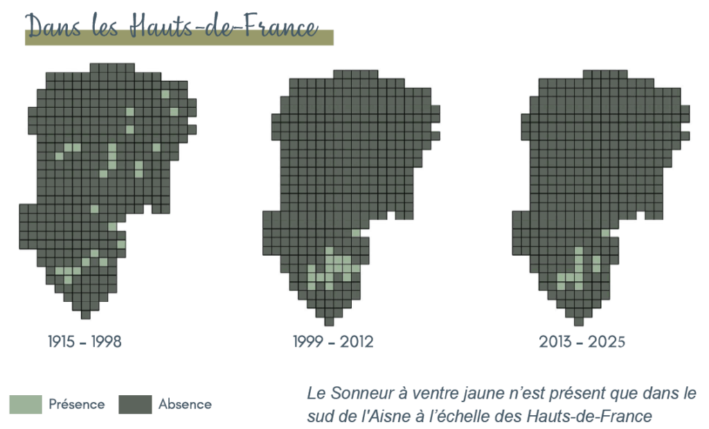Carte de répartition du Sonneur à ventre jaune dans les Hauts-de-France