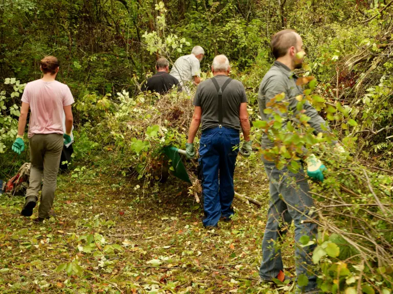 Chantier nature