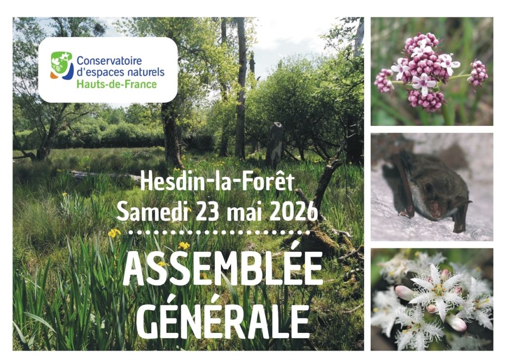 Invitation Assemblée générale 2026