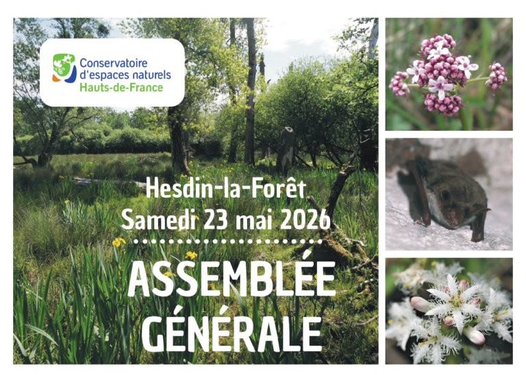 Invitation Assemblée générale 2026