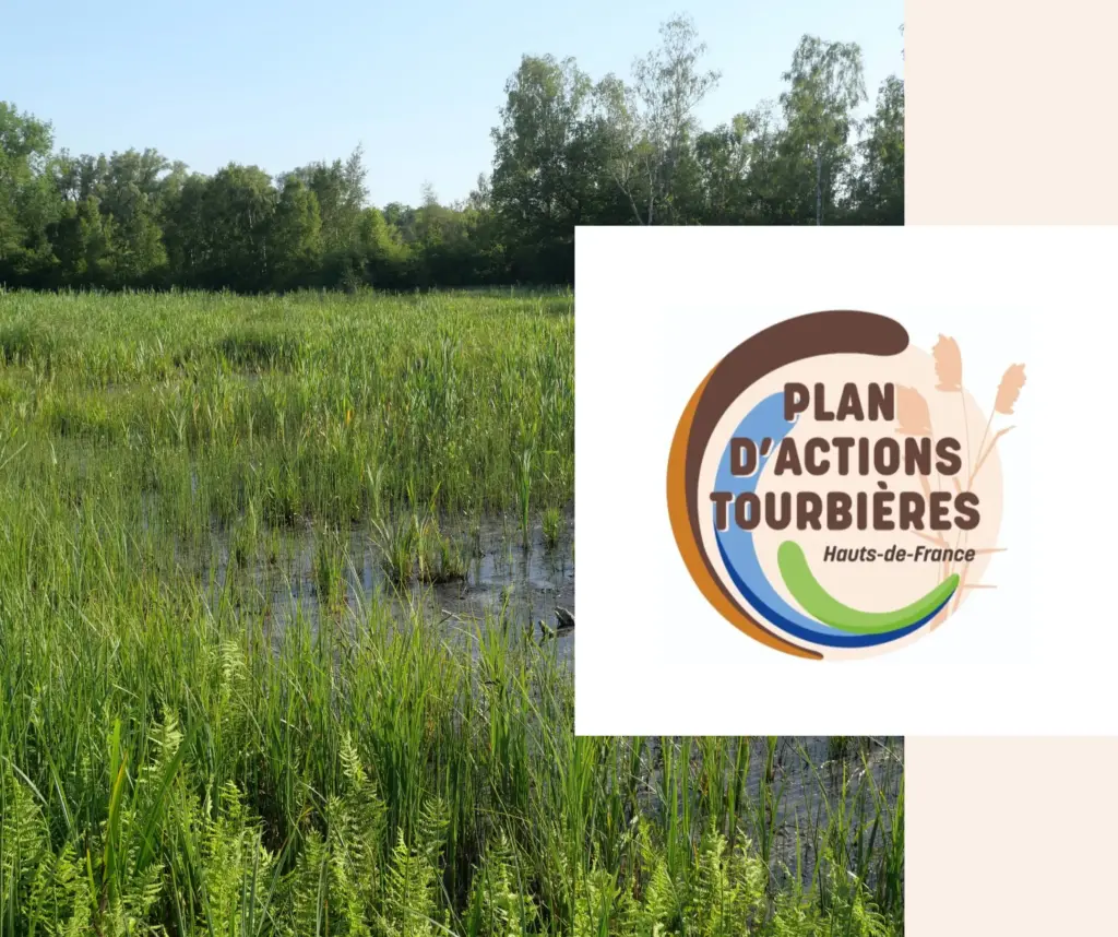 Plan d'actions tourbières en Hauts-de-France (PRAT)