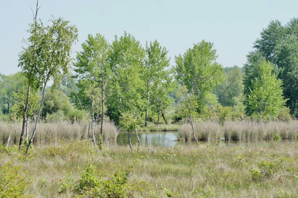 Les propriétés départementales du Marais de Sacy