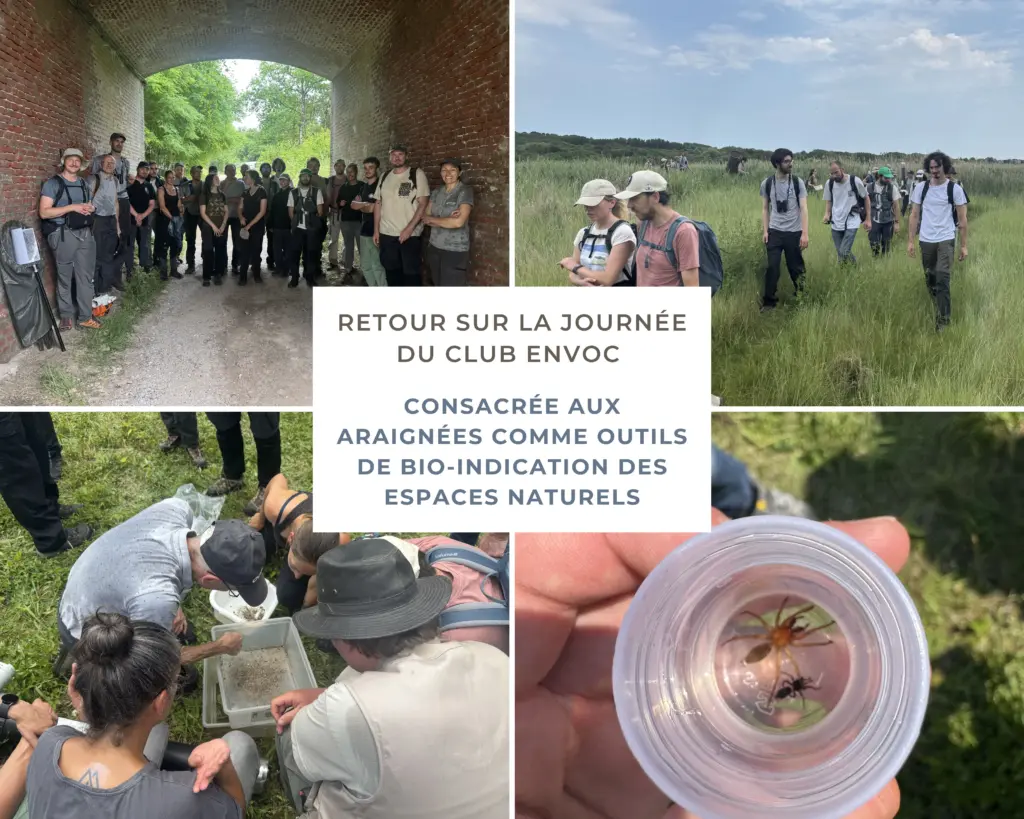 Participants à la journée du Club ENVoC sur les araignées à la Réserve naturelle nationale de la Baie de Canche.