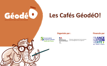 ACTU - Les cafés GéodéO