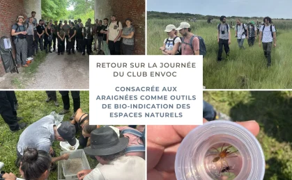 Participants à la journée du Club ENVoC sur les araignées à la Réserve naturelle nationale de la Baie de Canche.