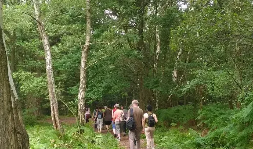 Photographie d'une animation sortie nature grand public, de type randonnée / promenade