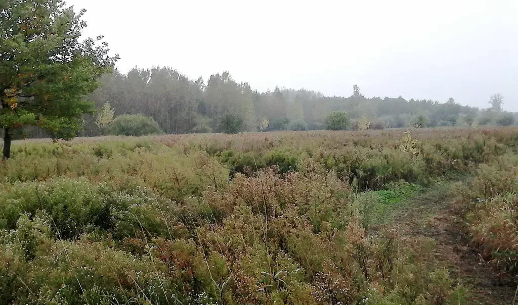 Photo de Brétigny (Oise)