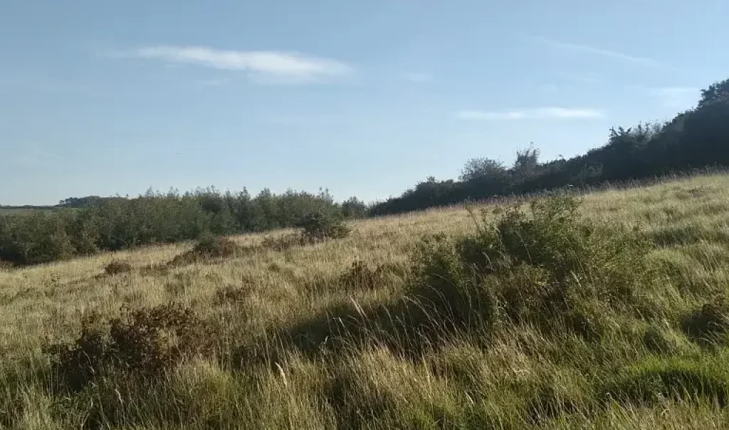 Photographie du site de la Carrière de Dannes-Camiers (Pas-de-Calais)