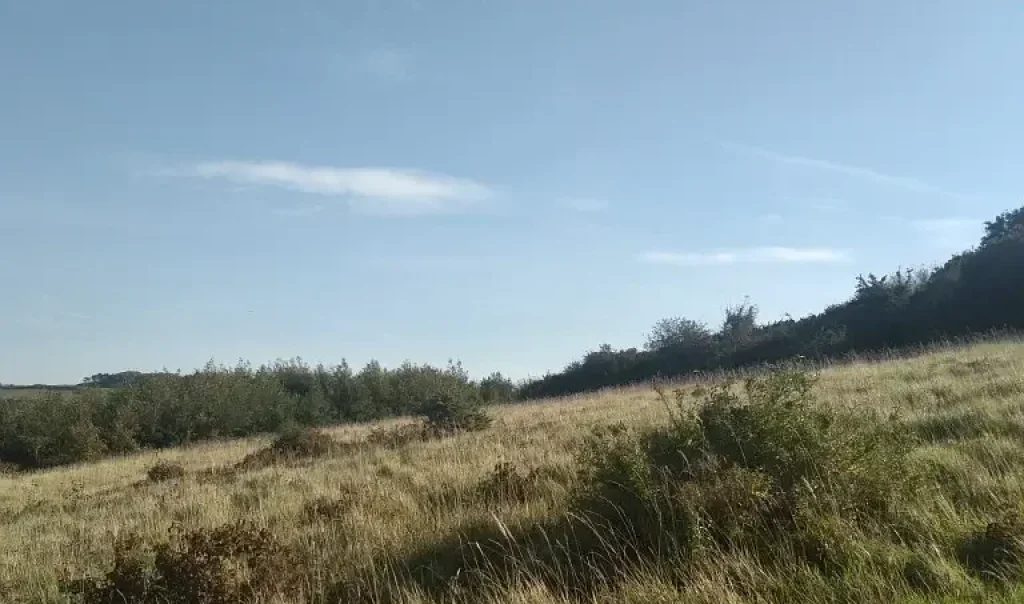 Photographie de la carrière du coteau Dannes-Camiers dans le Pas-de-Calais.
