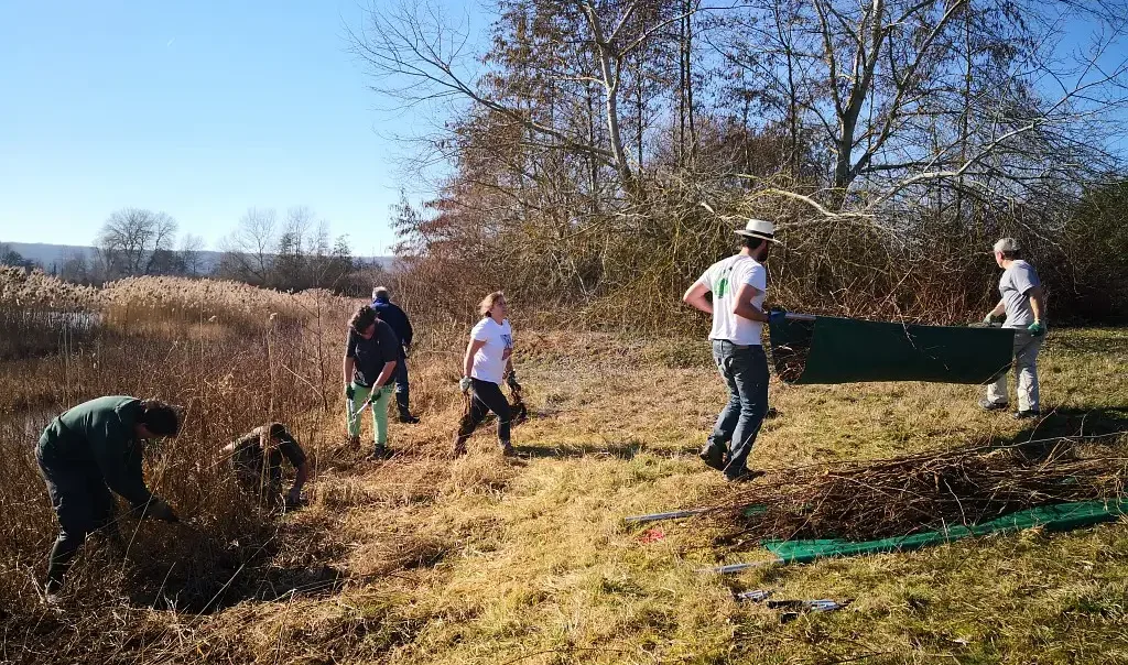 Photographie d'une animation Chantier nature Grand public sur le site du Trou Boully au Plessis-Brion (Oise)