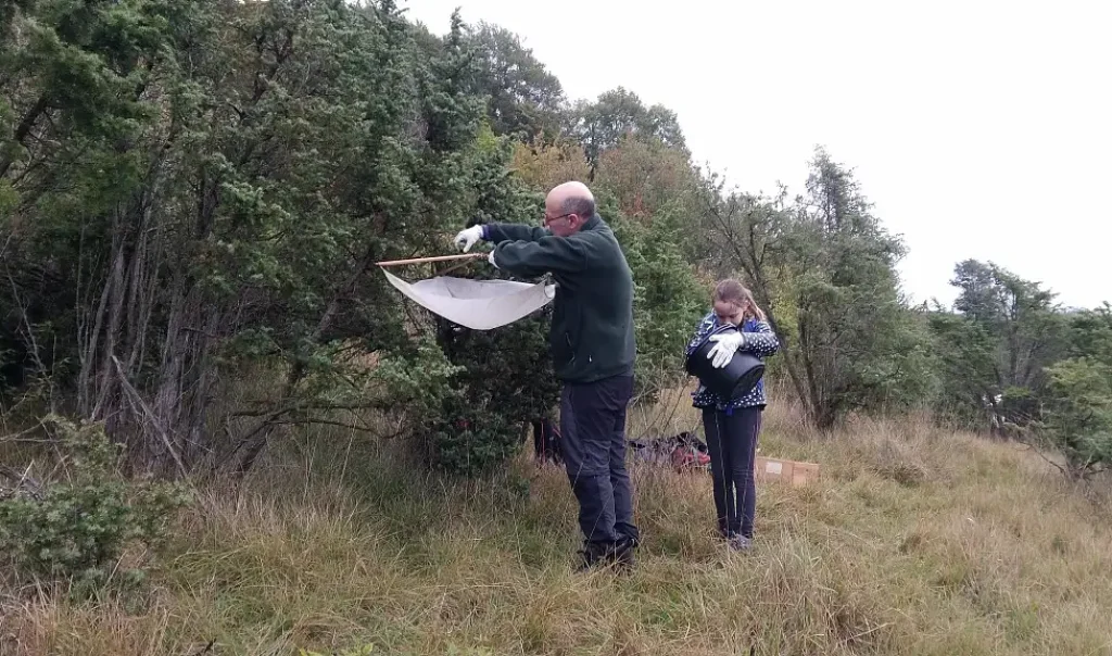 Photographie d'une animation chantier nature aux Larris de Villers à Bouchon (Somme)