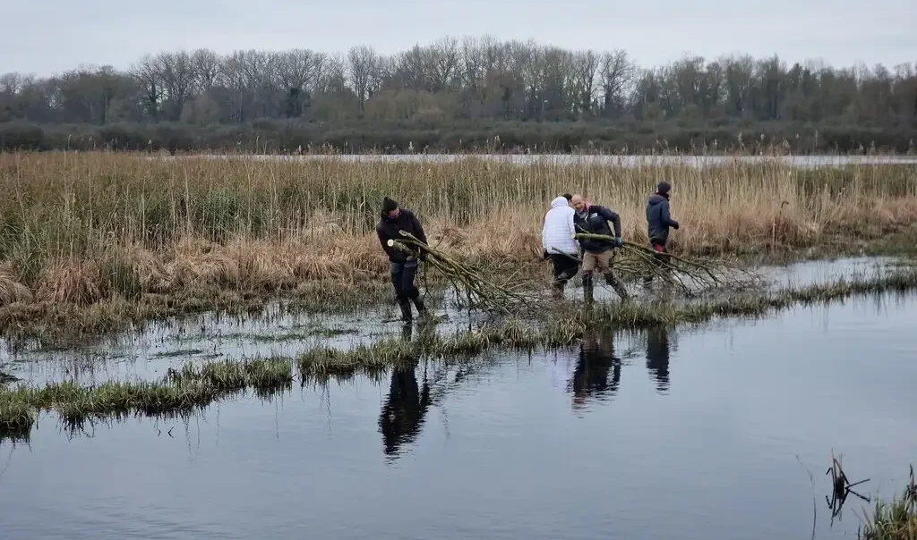Photographie d'une animation CEN Hauts-de-France Chantier nature dans la Réserve Naturelle Nationale (RNN) de la Tourbière alcaline de Marchiennes(Nord)