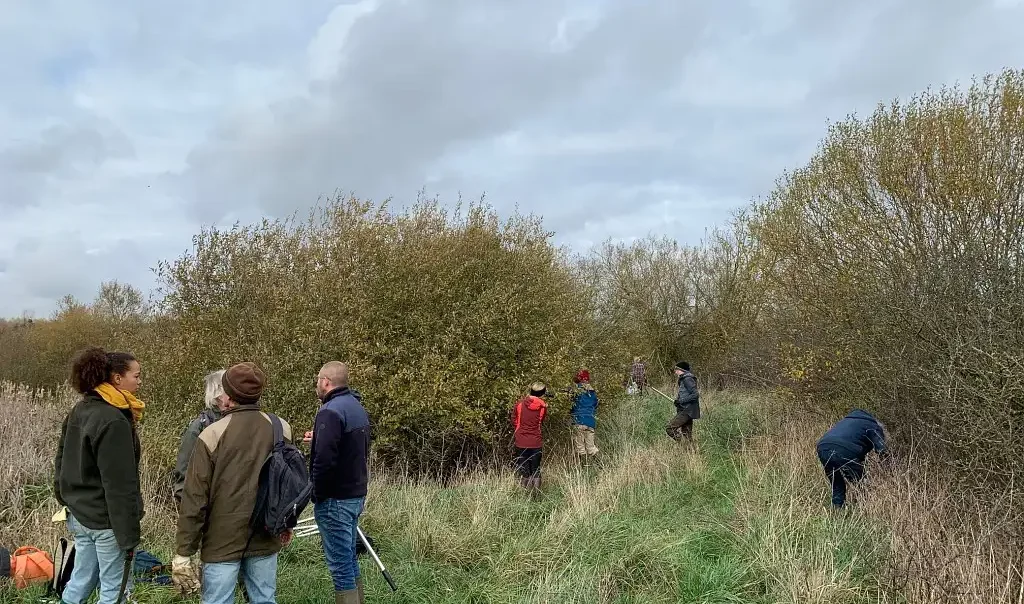 Photographie d'une animation chantier nature RNR Les Prairies du Val de Sambre à Maroilles dans le Nord.