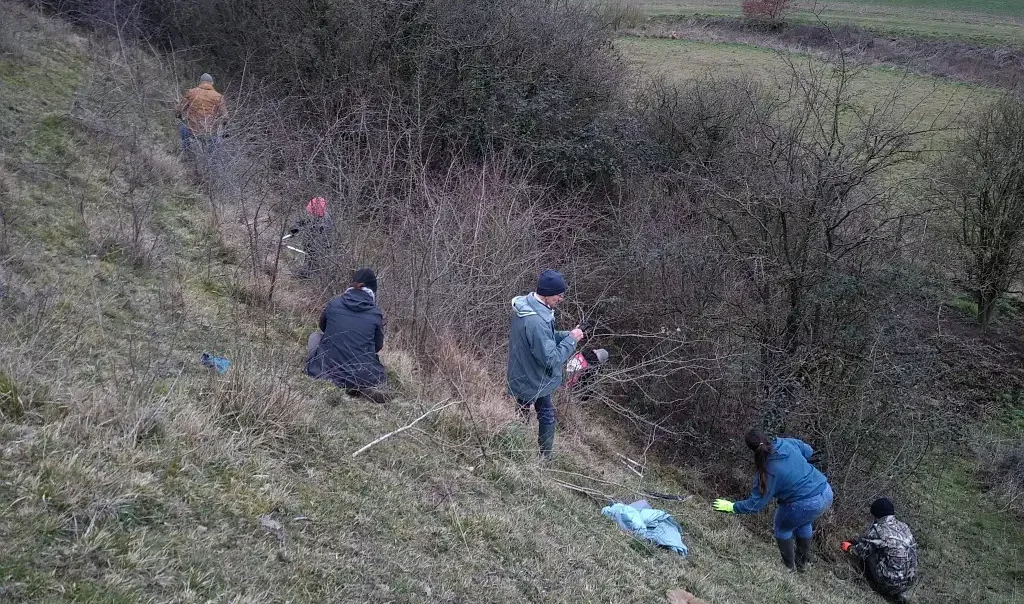 Photographie d'une animation chantier nature dans le Coteau du Mont de Quelmes dans le Pas-de-Calais (Hauts-de-France). Travaux de gestion d'indésirables et débroussaillage