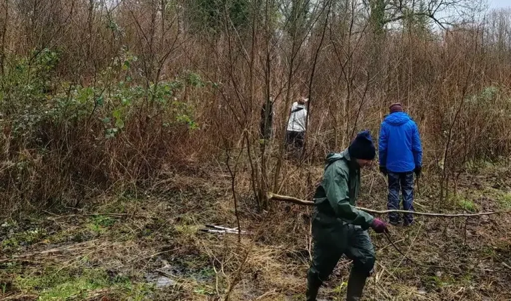 Photographie d'une animation de chantier nature proposé par le CEN des Hauts de France. Travaux de gestion des indésirables en milieu naturel humide.