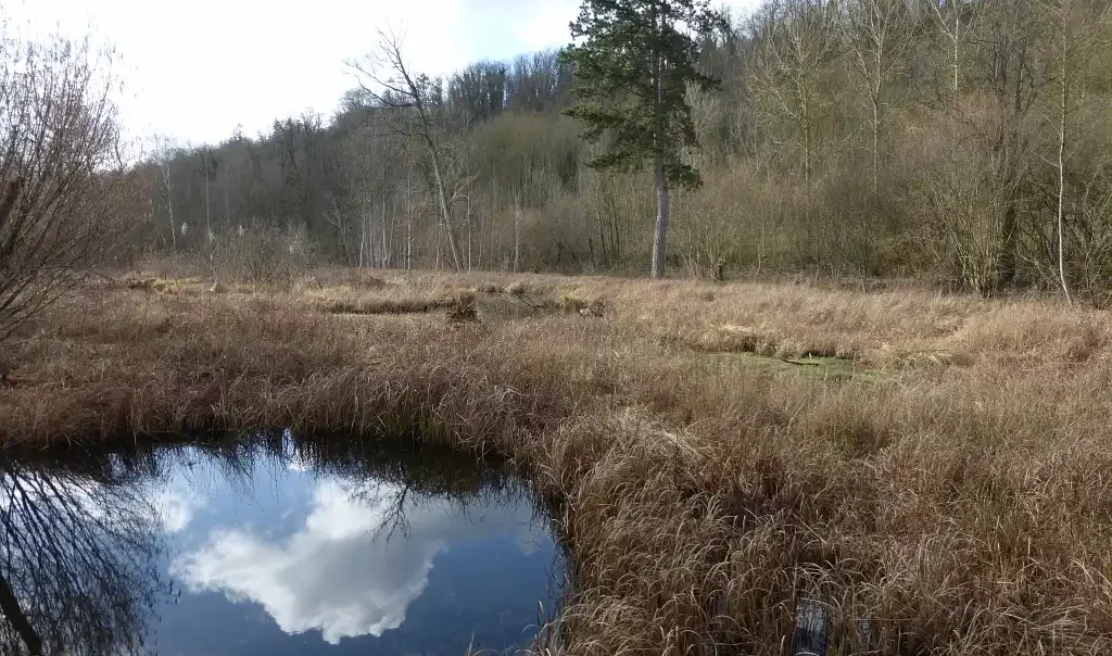 Photographie des Etangs de la Barette, milieu naturel humide à Corbie / Vaux-sur-Somme dans la Somme (Hauts de France)