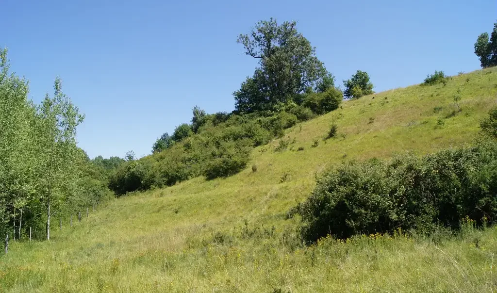 Photographie du versant nord du Coteau de Baybelle à Rocquemont (Oise)