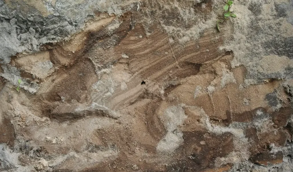 Photographie d'une coupe géologique d'un sol sous-sol dans l'Aisne
