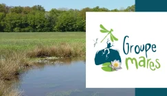 DA-site-web-CEN-programmes-_-projets-Groupe-Mares