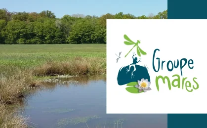 DA-site-web-CEN-programmes-_-projets-Groupe-Mares