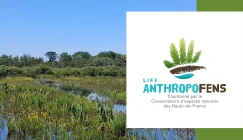 DA-site-web-CEN-programmes-_-projets-LIFE-Anthropofens