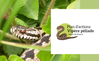 DA-site-web-CEN-programmes-_-projets-PA-Vipère