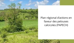 DA-site-web-CEN-programmes-_-projets-PAPECH