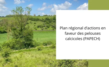 DA-site-web-CEN-programmes-_-projets-PAPECH